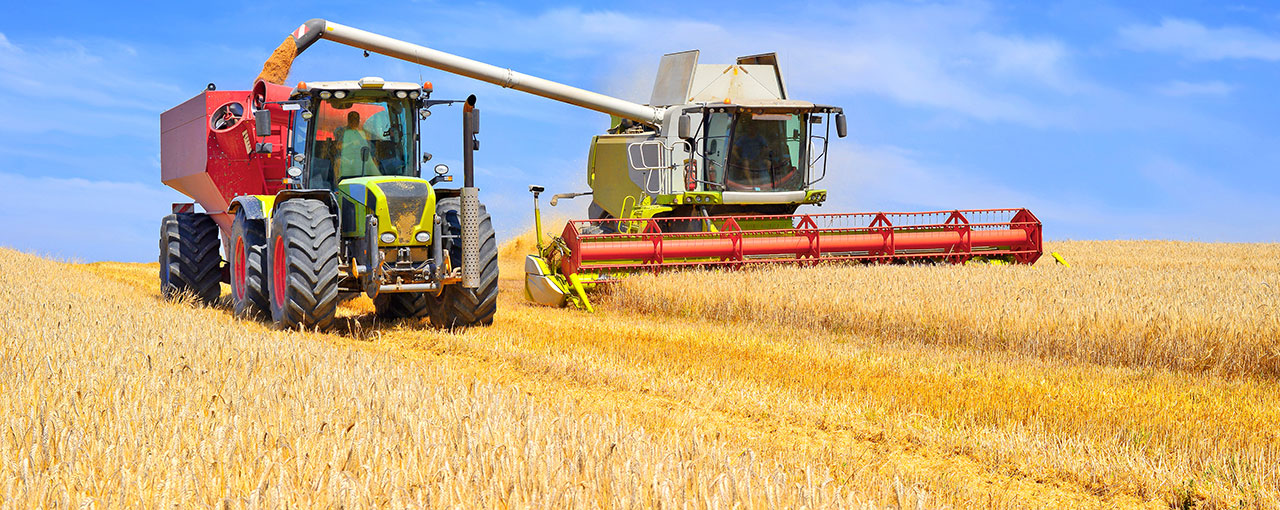 Cereal Sweeteners Production Process