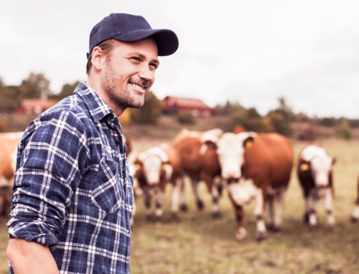 Sustainable Beef