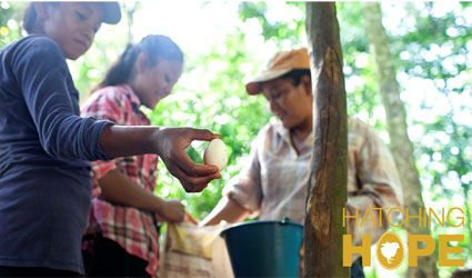 One woman holding an egg with two other women working and standing next to her with a bucket and bag among some trees