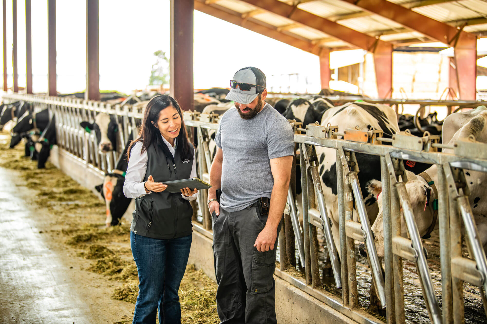 Modern Day Farmer Story Image 2 Modern Day Farmer Story Image 2
