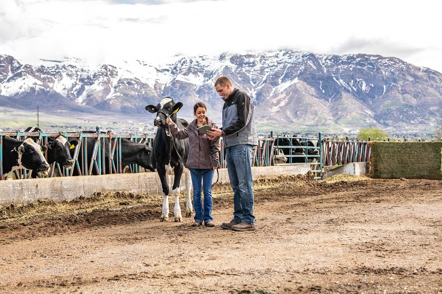 Modern Day Farmer Story Image 4 Modern Day Farmer Story Image 4