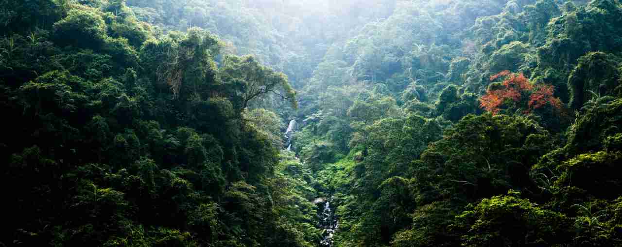Land Use and Forest Advisory Panel