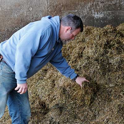 Performance - Holistic Animal Nutrition Image