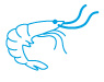 Future of Aquaculture