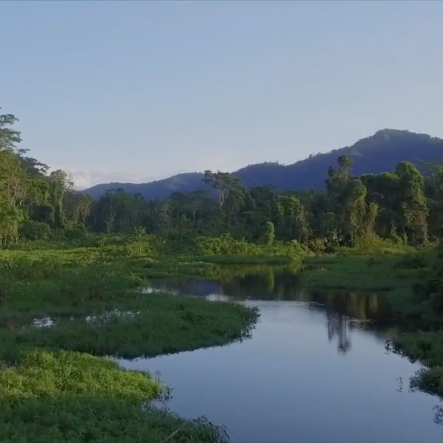 landscape-water-trees-hills