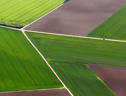 aerial picture of fields