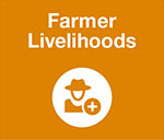 Cocoa Sustainability Home Icons - Farmer Livelihoods Off