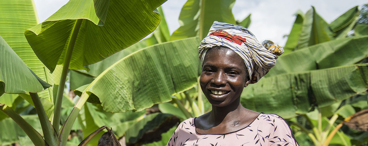 Sustainable Cocoa - Our Impact