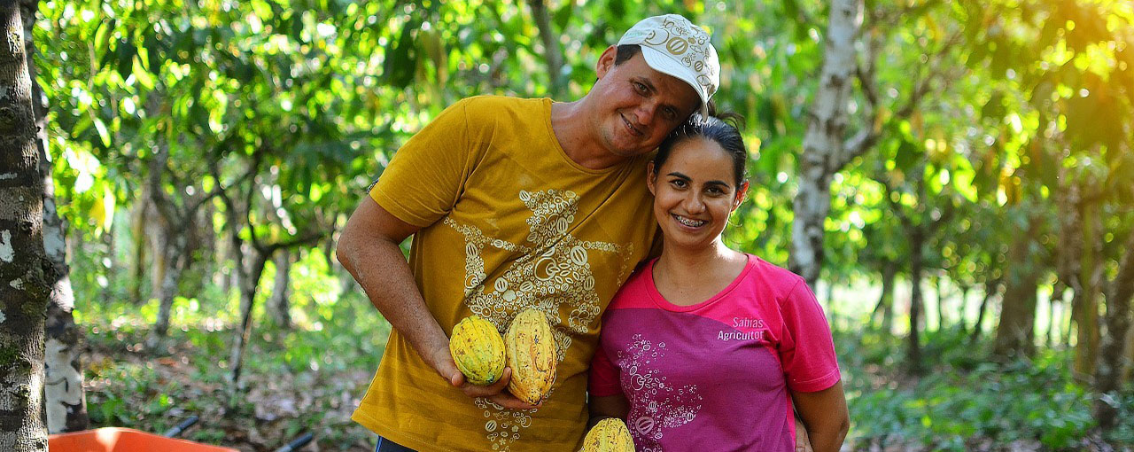 Sustainable Cocoa - Our Impact - Farmer Livelihoods