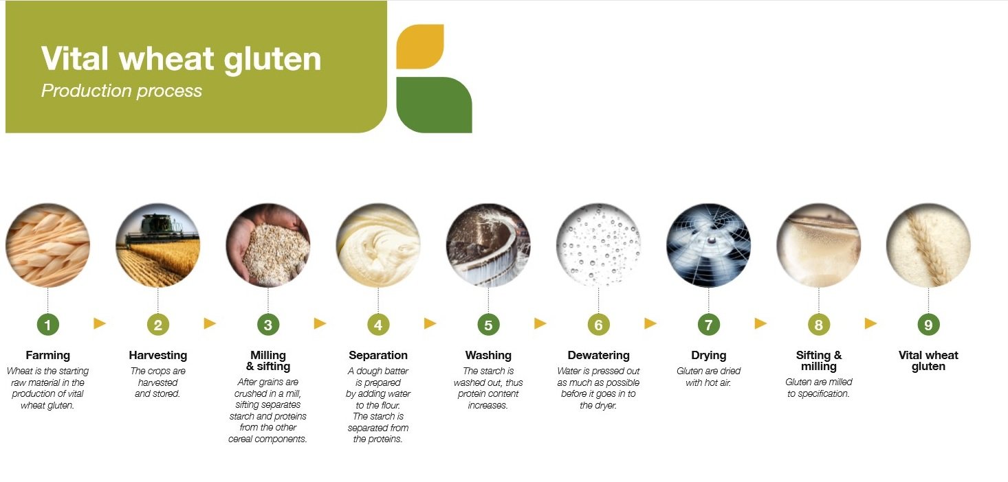 Gluvital Vital Wheat Gluten Food Beverage Ingredients EMEA Cargill gluvital-vital-wheat-gluten-food-beverage-ingredients-emea-cargill