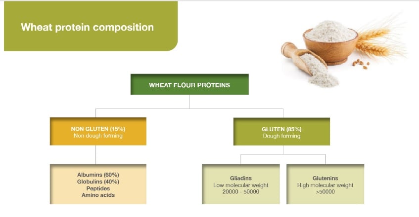 Wheat Protein Composition