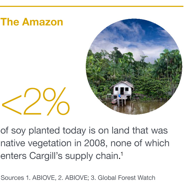 Amazon soy fields