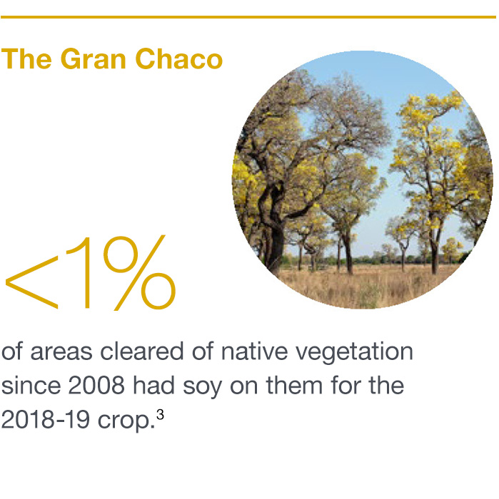 Gran Chaco soy fields