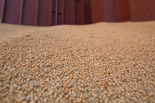 Bulk soybeans