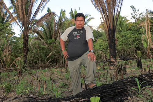 Deforested land in South America