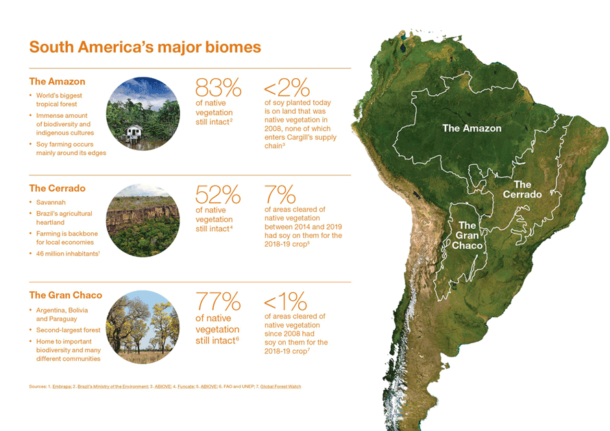 Soy Report 2020 - South America's major biomes infographic