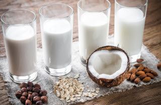 Dairy Alternatives Ingredients Supplier