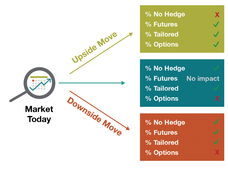 Finding the Right Hedging Tool in Your Toolbox Image 1