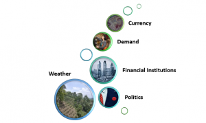 Energy + Risk Embedded 1