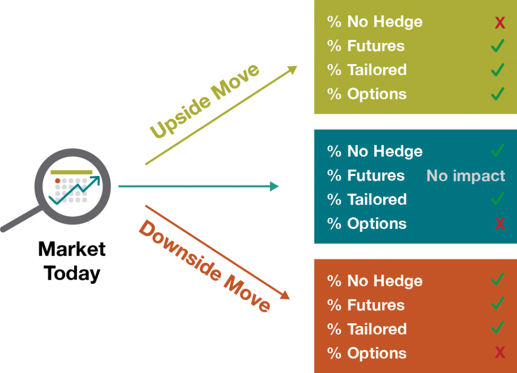 How to Build a Diversified Hedging Portfolio Embedded 1