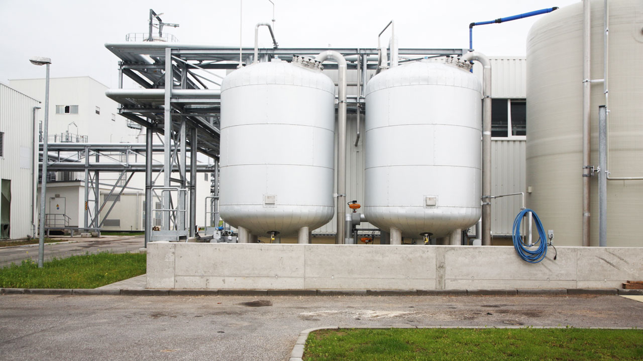 pectin plant