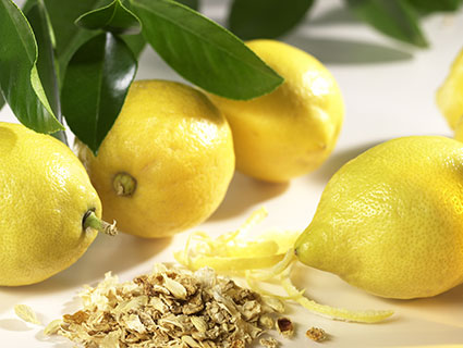 pectin plant - lemons
