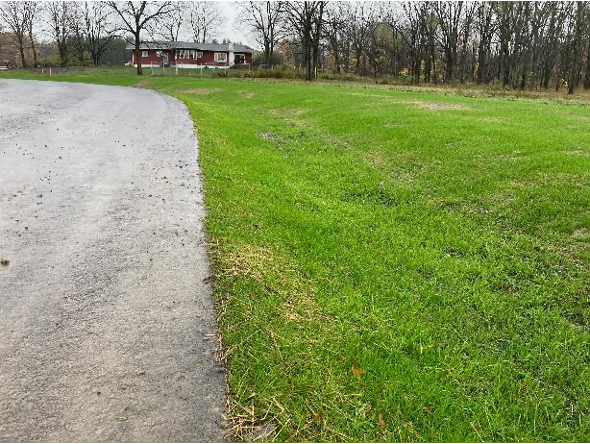Final seeding work on the roadside drainage systems. Final seeding work on the roadside drainage systems.