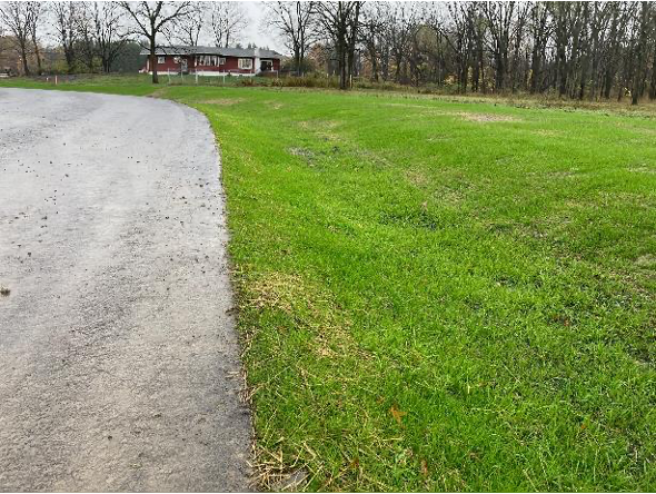 Final seeding work on the roadside drainage systems.