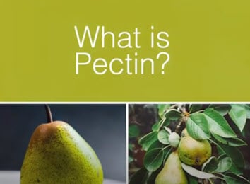 What is pectin and what is the ingredient used for - watch a short video