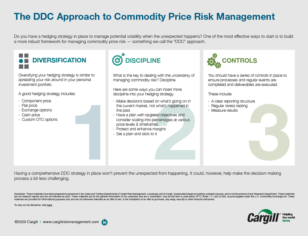 Infographic - the ddc approach screenshot