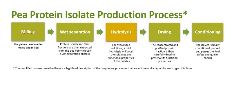 Pea protein Isolate Production Process
