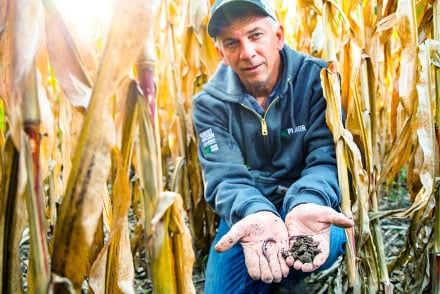 Regenerative Agriculture farmer has soil in hands image