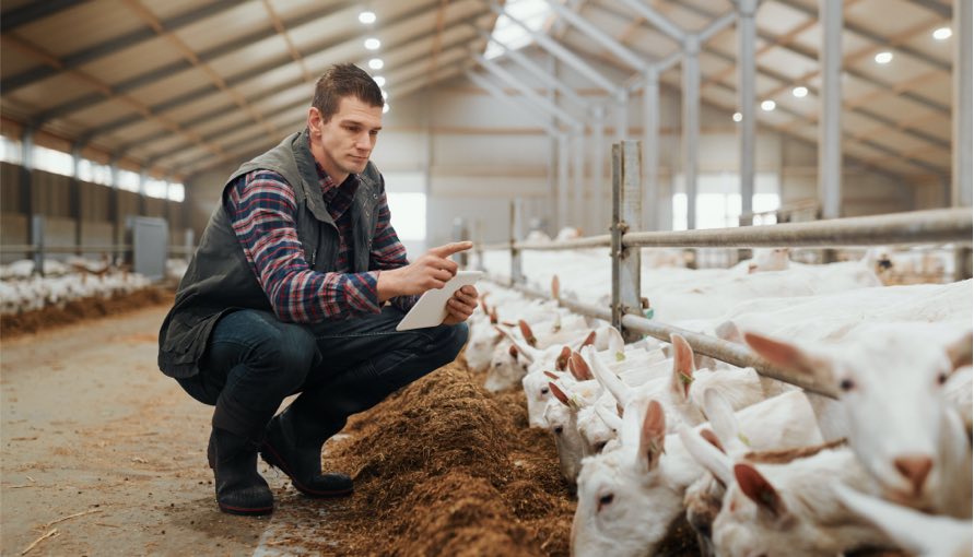 man counting sheep image