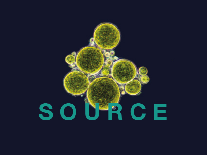 Source - Transforming supply chains Source - Transforming supply chains