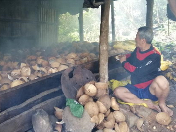 Sustainable Coconut Oil - Cargill Beauty
