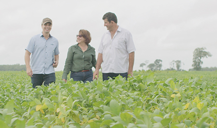 people walking in a field image