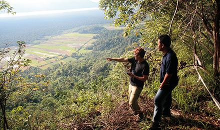 people looking at a forrest view image