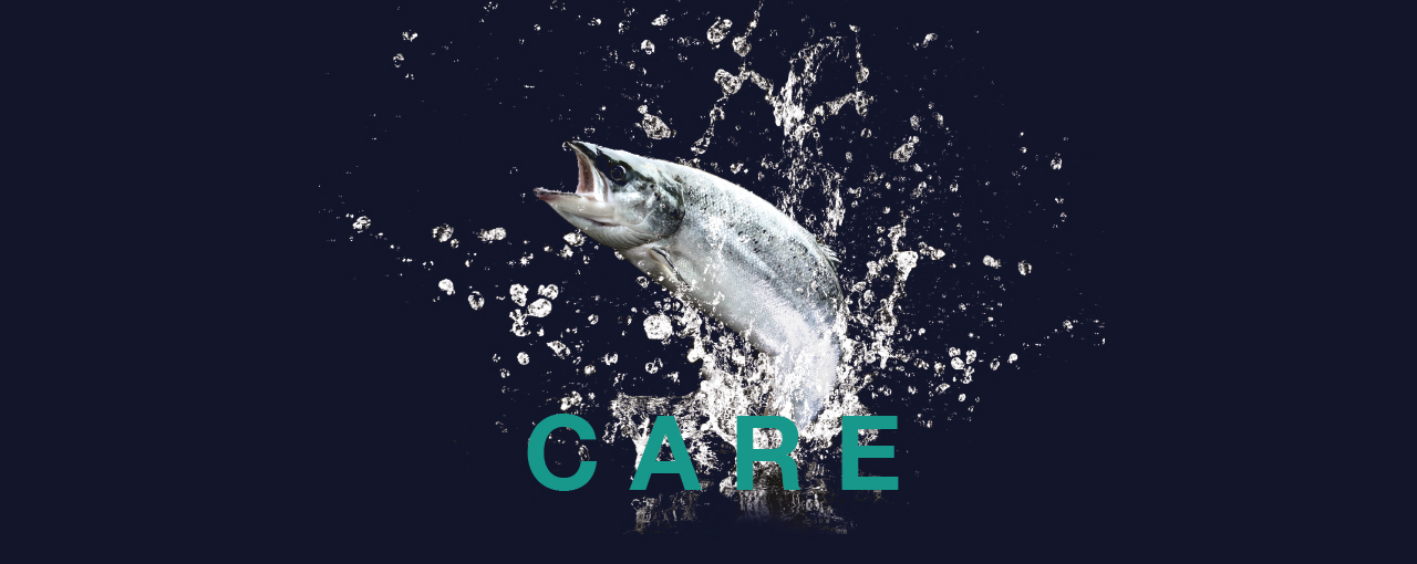 Care - Safeguarding farmed fish