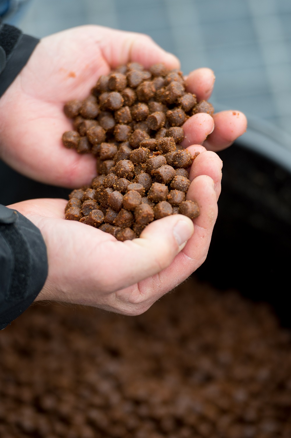 Feed Is The Key To Sustainable Seafood Production