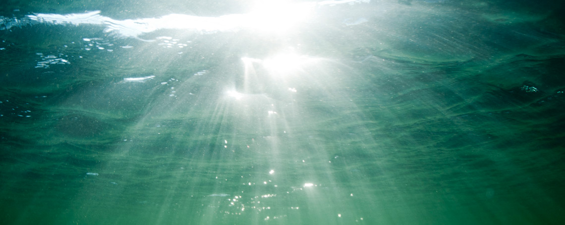 sun ray shines trhough clean ocean water