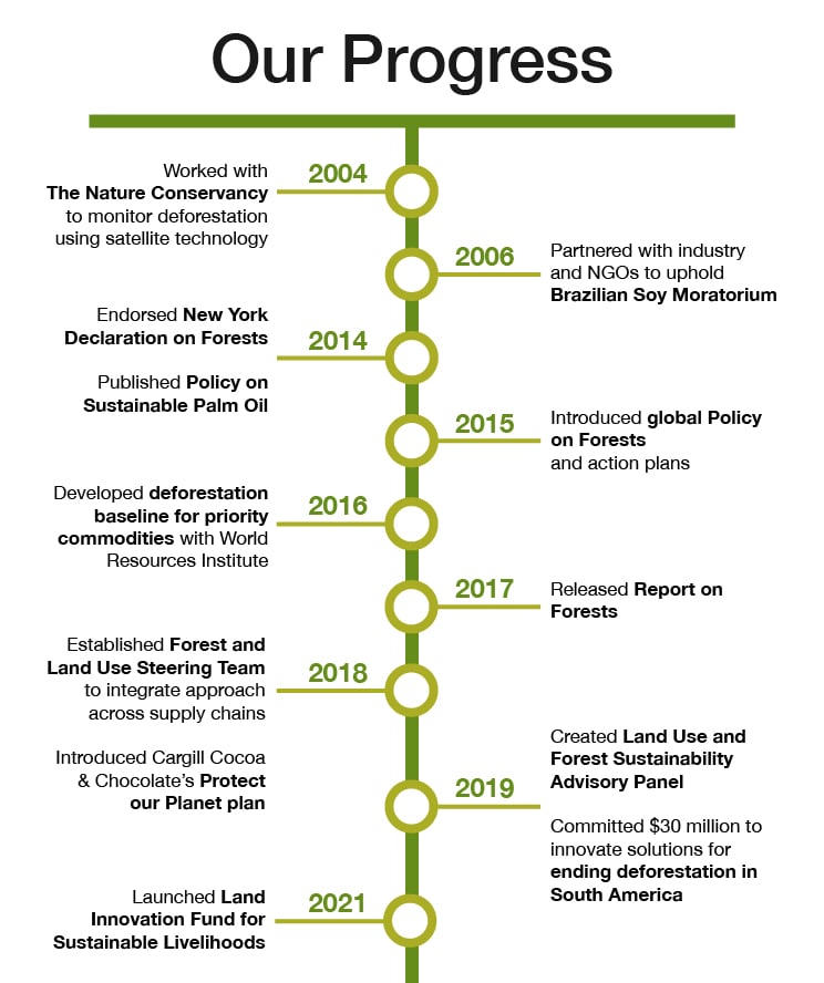protecting forests timeline progress