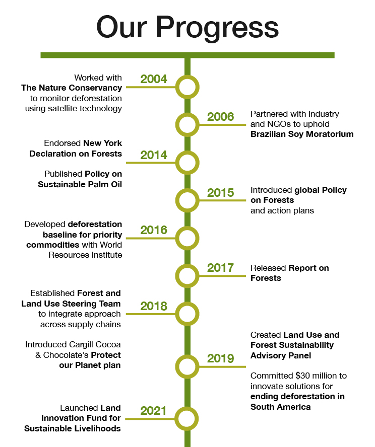 Forest protection and deforestation solutions | Cargill