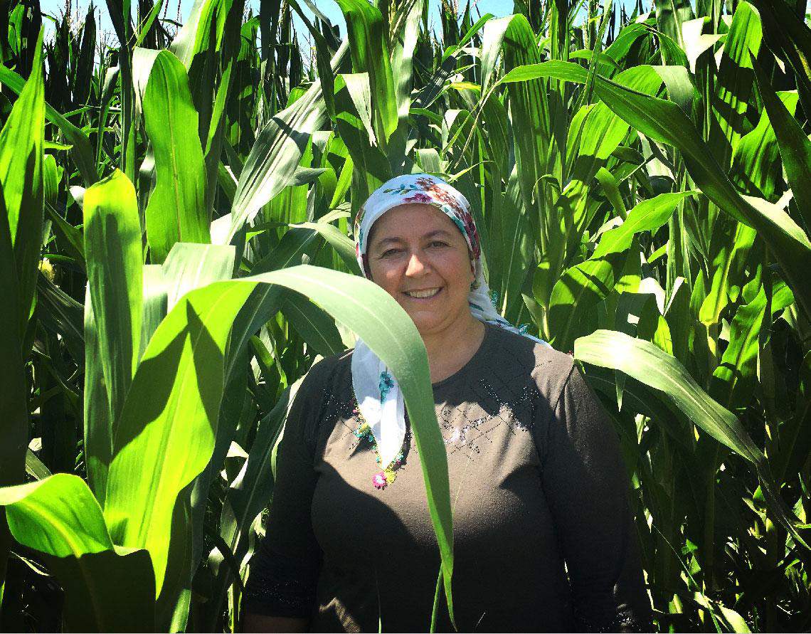 How Digital Agricultural Tools Are Improving Farmer -inbody