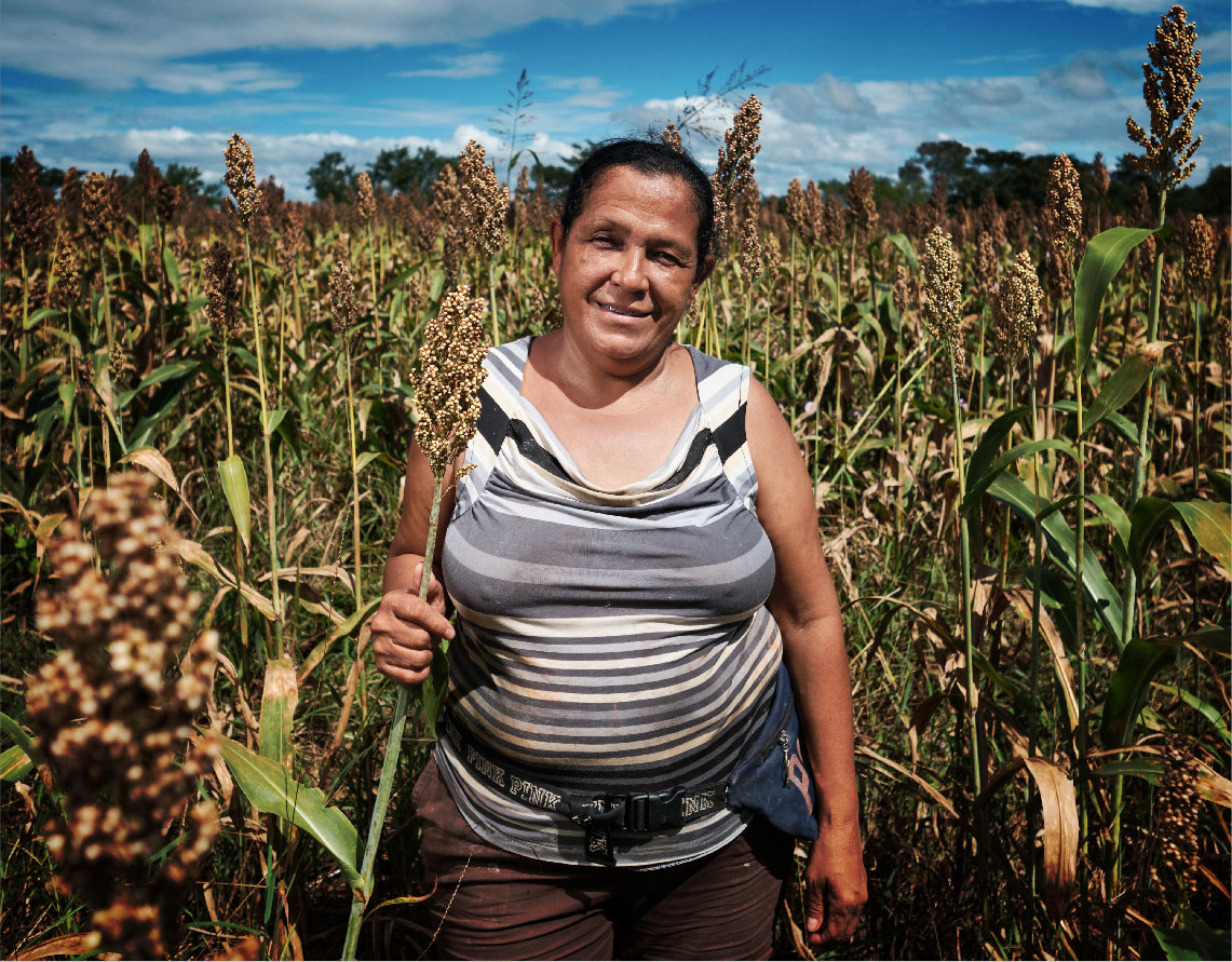 Nourishing the Future by Building Resilient Agricultural -images