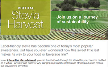 The gold standard for sustainable & ethical stevia
