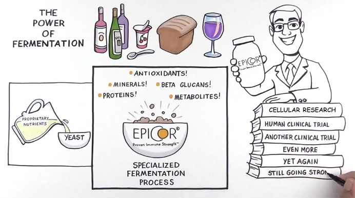 The process of fermentation - EpiCor Postbiotic