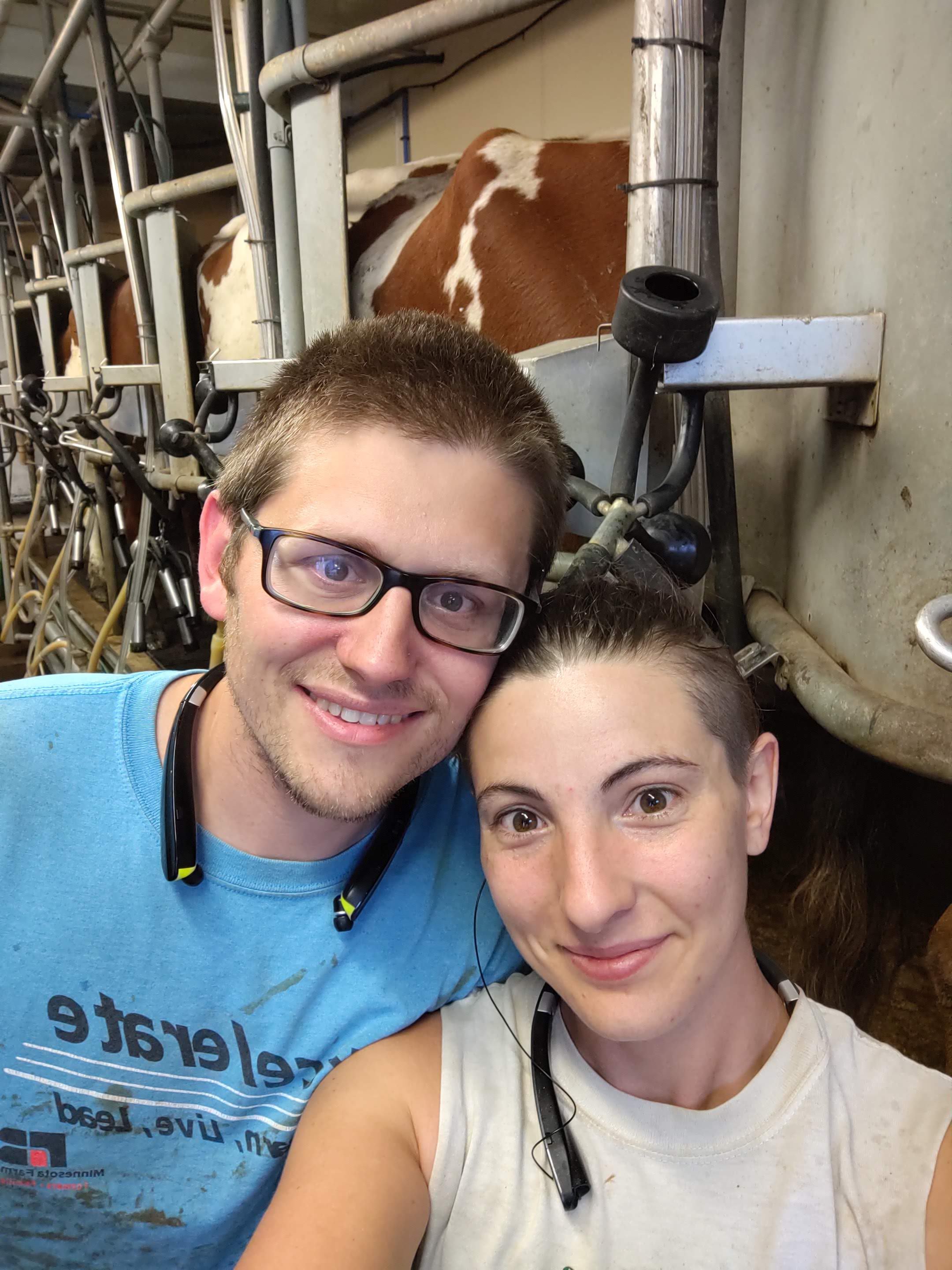 Elinor & Mat milking cows at their farm Elinor & Mat milking cows at their farm