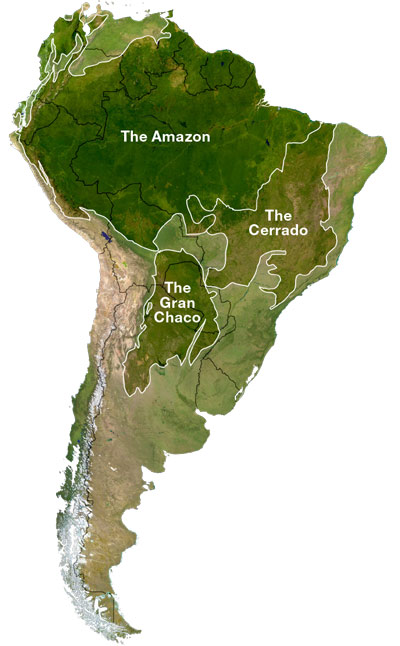 map of the South American biomes