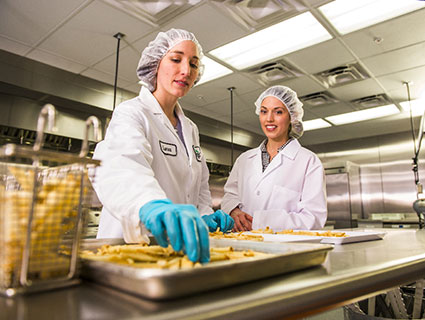 Workers in a Fry Lab