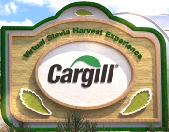 Virtual Stevia Harvest | Enter the Experience | Cargill
